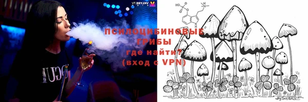альфа пвп Гусь-Хрустальный